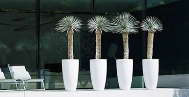 comprar maceteros altos